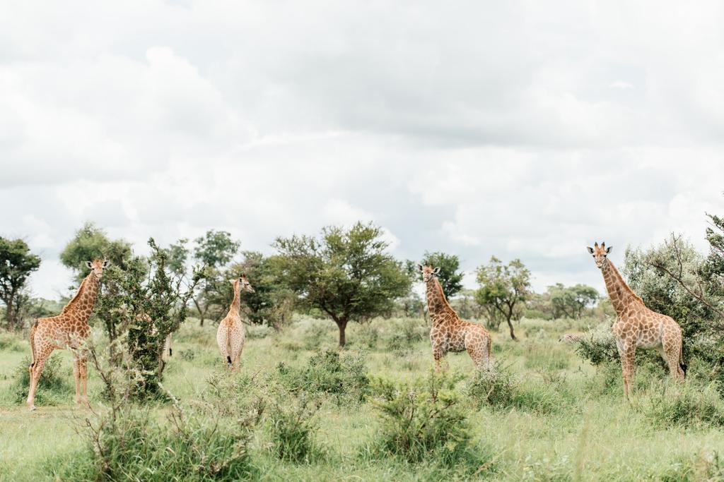 Monate Game Lodge Модимолле Экстерьер фото
